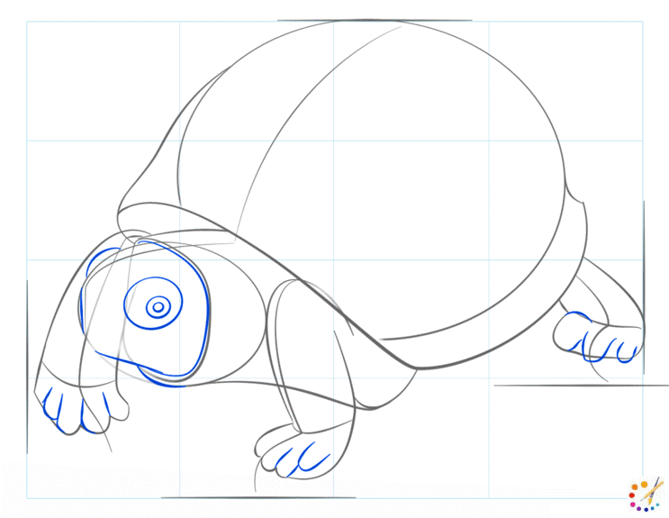 How to draw turtle