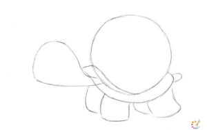 How to draw turtle