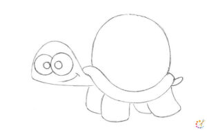 How to draw turtle