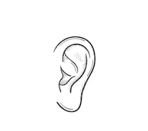 How to draw ear