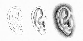 How to draw ear