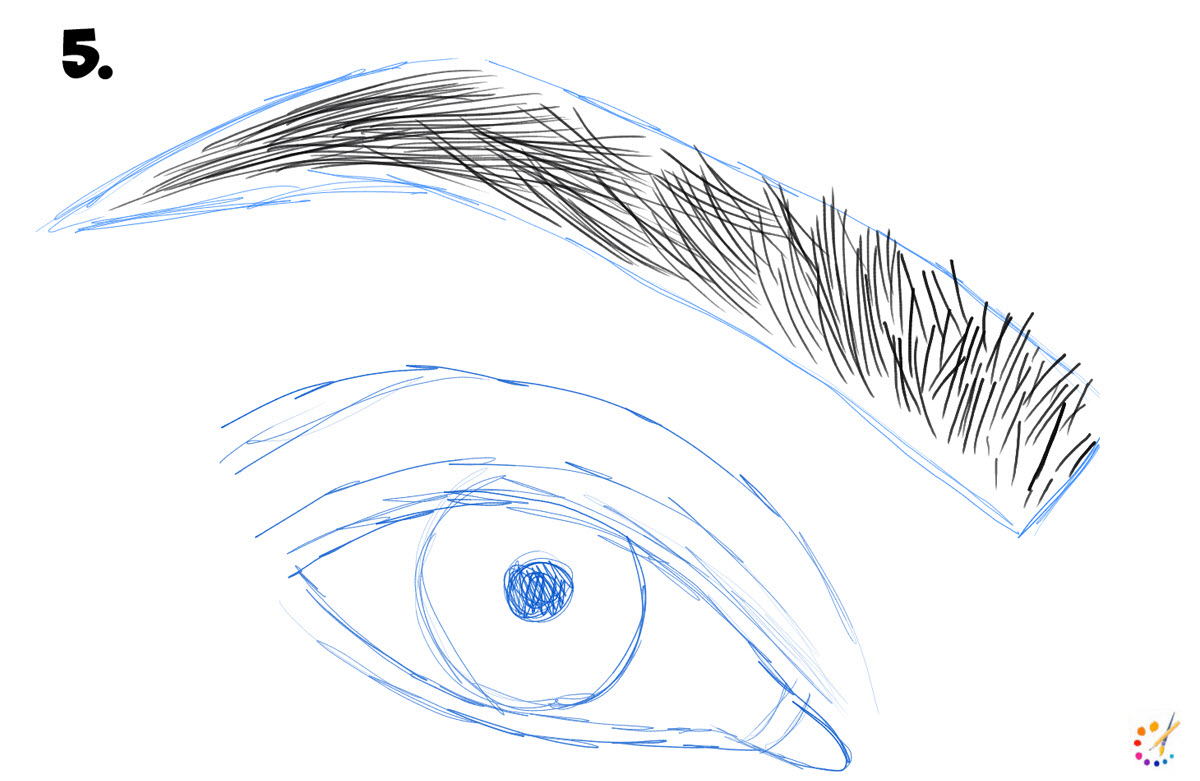 How To Draw Eyebrows Step By Step For Kids Beginners how-to-draw-eyebrows-step-by-step-for-kids-beginners