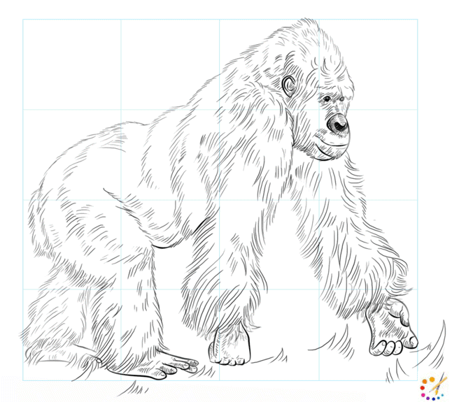 How to draw Gorilla