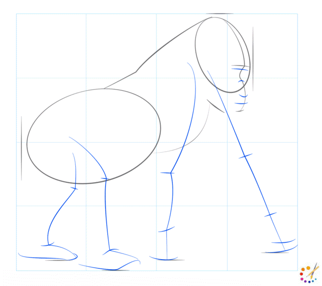 How to draw Gorilla