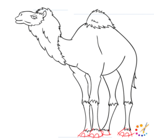 How to Draw a Camel Step By Step – For Kids & Beginners