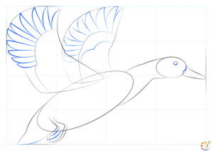 How to Draw a Duck Step By Step - For Kids & Beginners