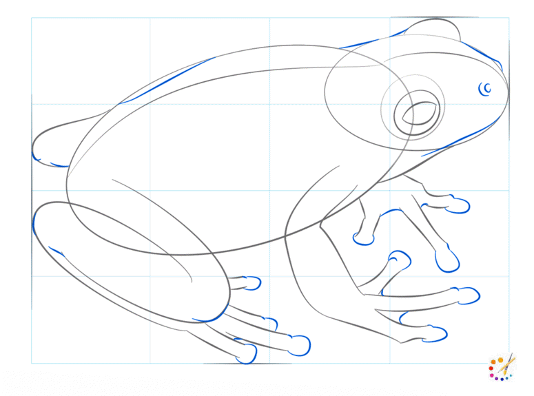 How to draw a frog