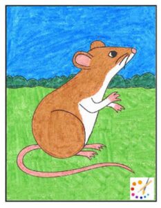 How to Draw a Mouse Step By Step – For Kids & Beginners
