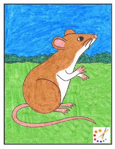 how to draw a rat