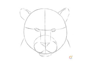 How to draw a Tiger