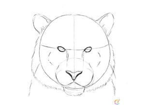 How to draw a Tiger