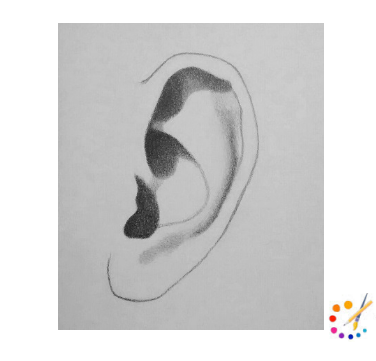 How to Draw a Ear