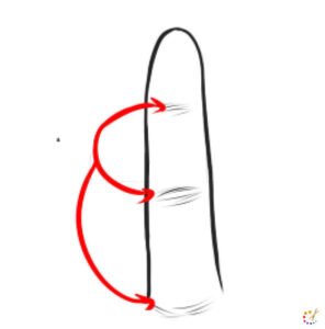 how to draw finger