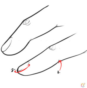 how to draw finger