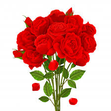 How to draw a rose