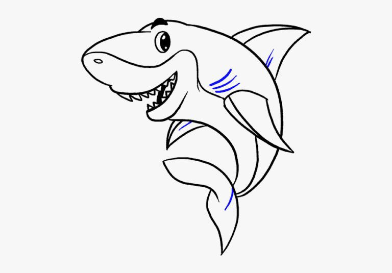 How to Draw a Shark Step By Step – For Kids & Beginners