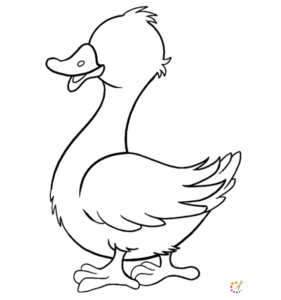 How to draw a duck