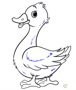 How to draw a duck