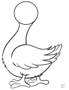 How to draw a duck