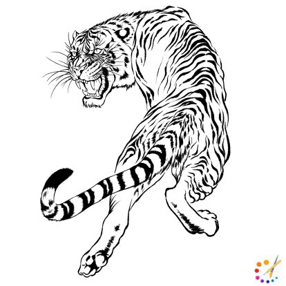 How to draw a tiger