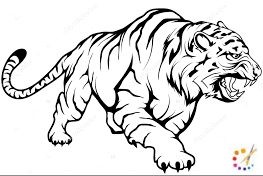 How to draw a tiger