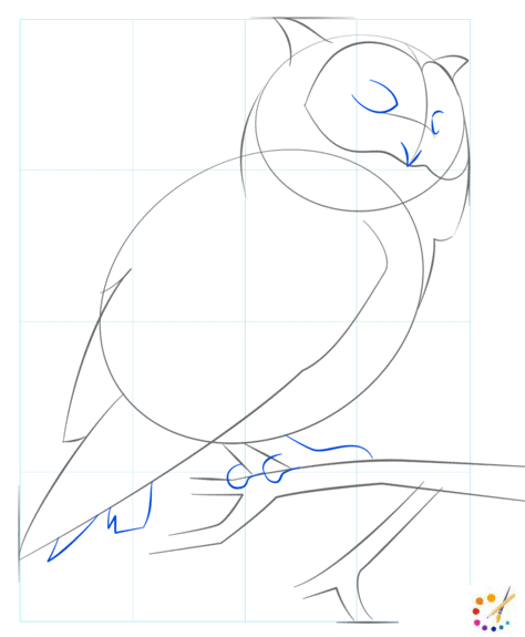 How to draw an owl