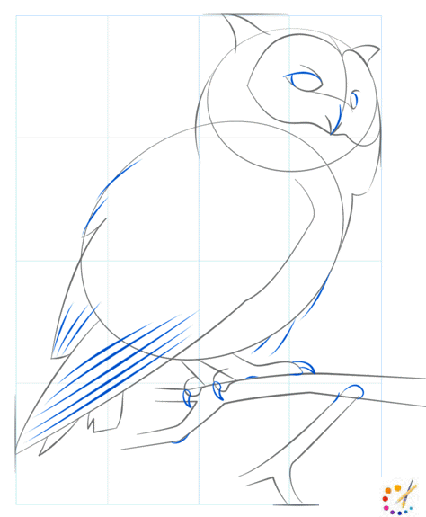 How to draw an owl