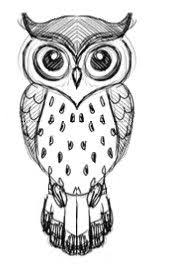 How to draw an owl