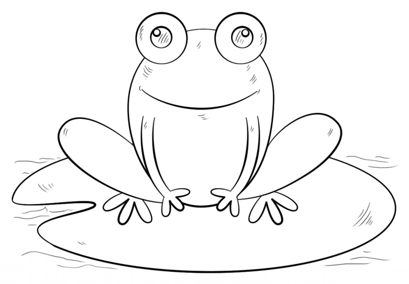 How to draw a frog