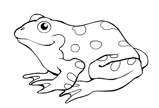 How to draw a frog