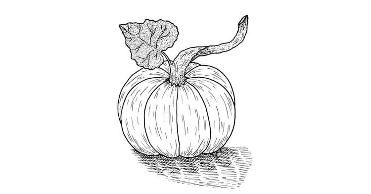 how to draw a pumpkin