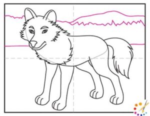 How to draw a wolves