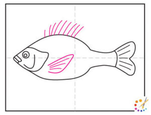 How to draw a fish