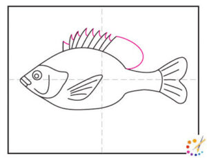 How to draw a fish