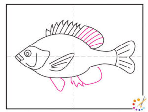 How to draw a fish