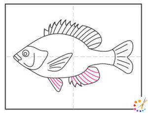 How to draw a fish