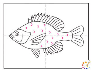 How to draw a fish