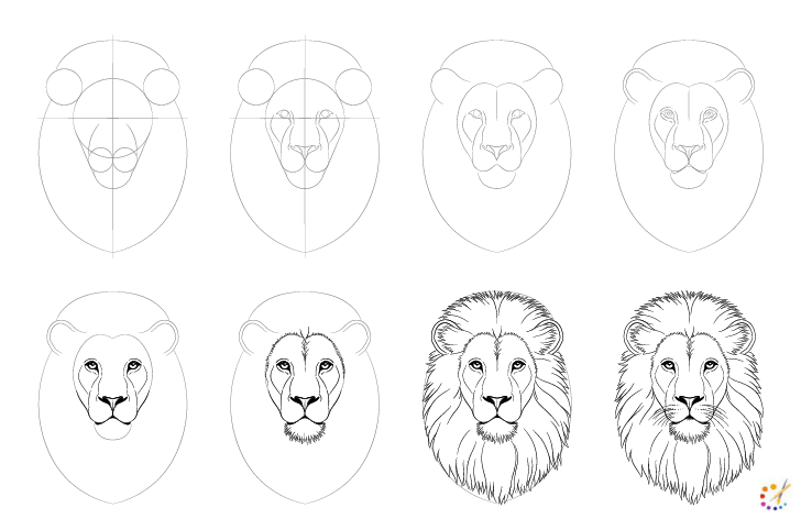 How to draw A Lion
