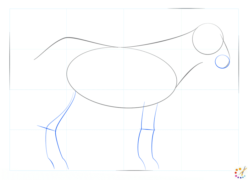 How to draw a goat