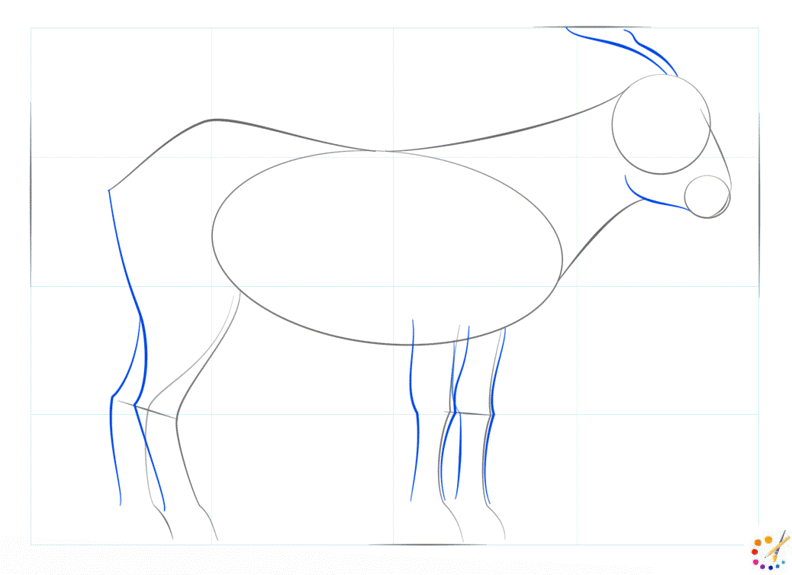 How to draw a goat