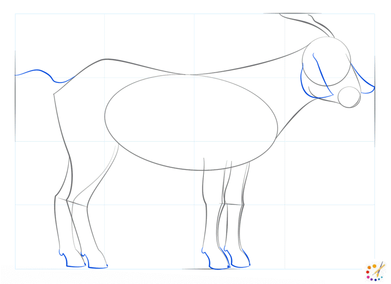 How to draw a goat