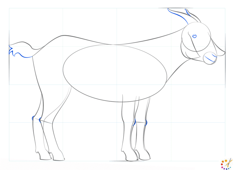 How to draw a goat