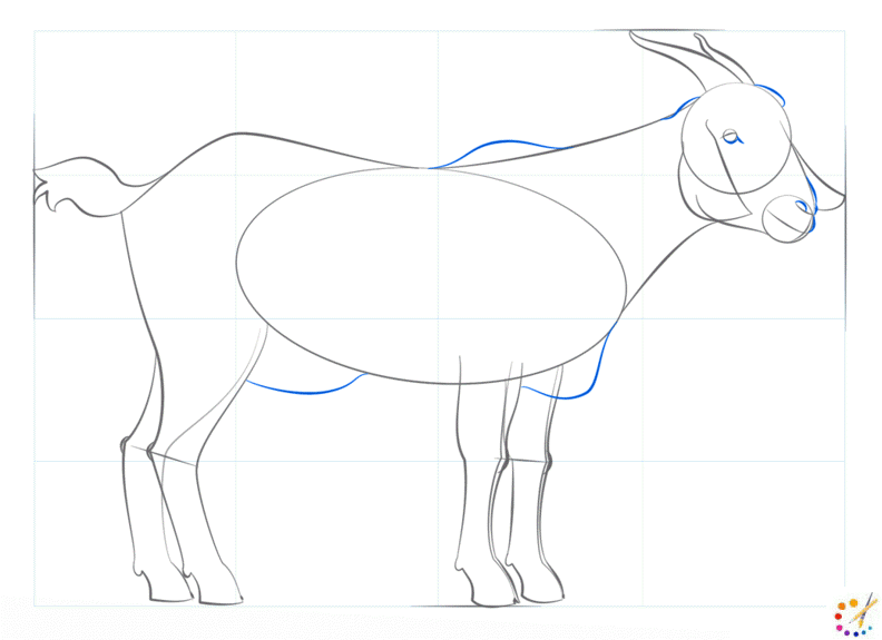 How to draw a goat