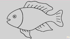 How to draw a fish