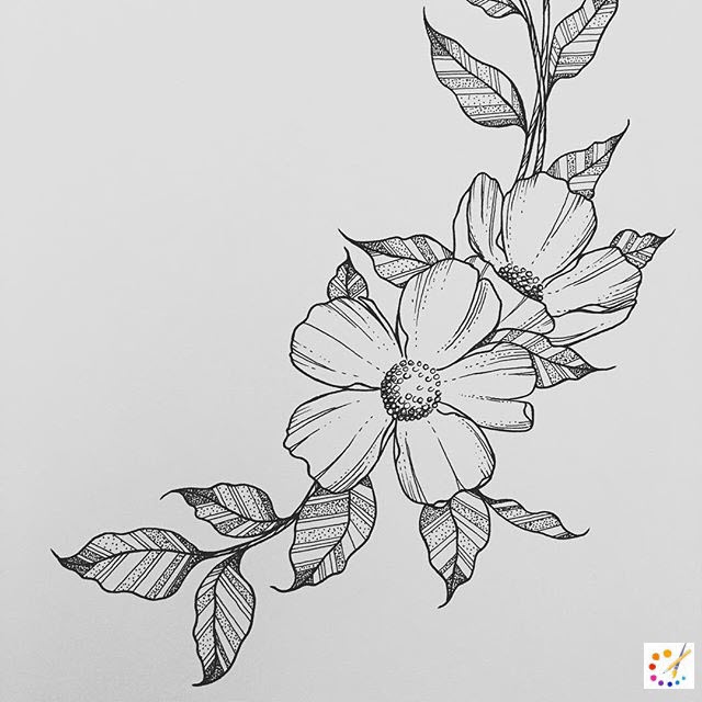 How to draw a flower