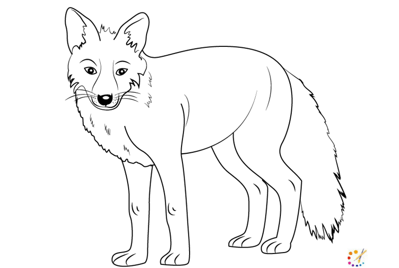 How to draw a fox