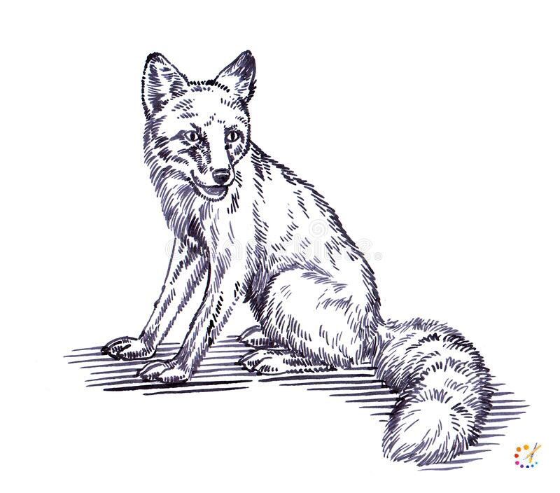 How to draw a fox