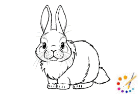 how to draw a rabbit