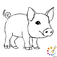 How to draw a pig