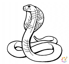 how to draw snake